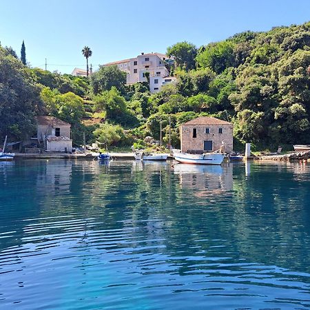 Apartment Jelena Molunat Dış mekan fotoğraf
