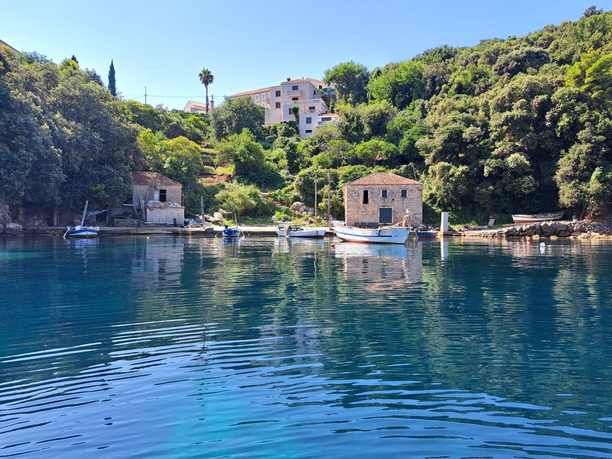 Apartment Jelena Molunat Dış mekan fotoğraf