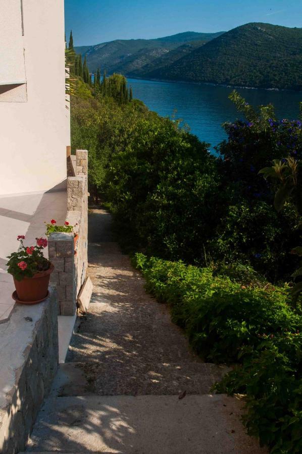 Apartment Jelena Molunat Dış mekan fotoğraf