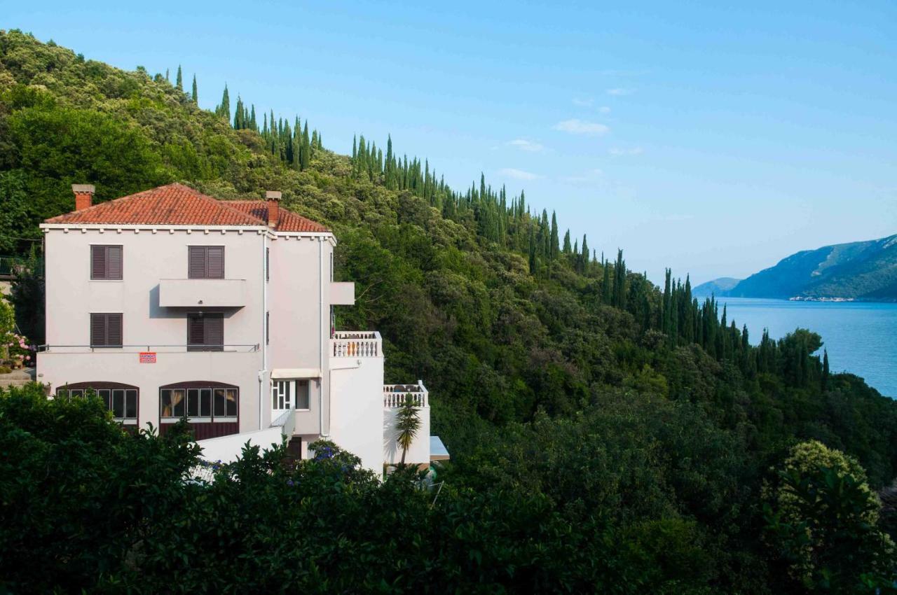 Apartment Jelena Molunat Dış mekan fotoğraf