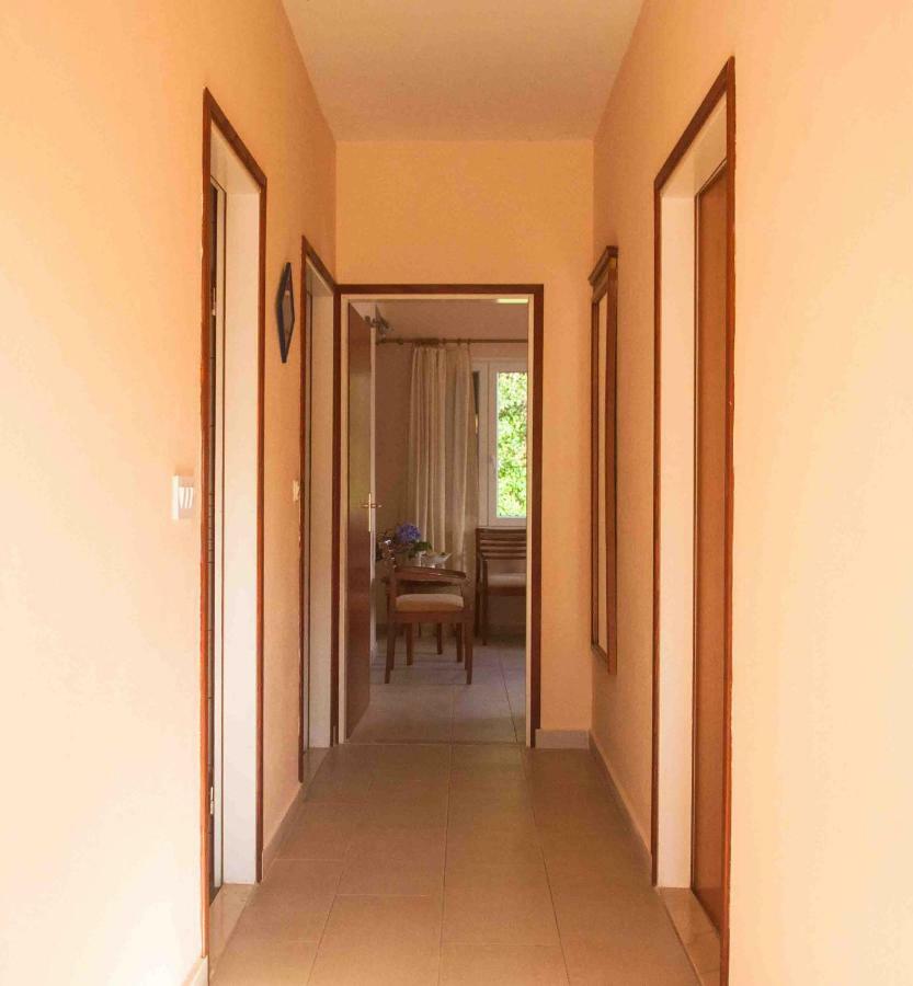 Apartment Jelena Molunat Dış mekan fotoğraf